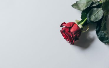 A Rose by Any Other Name: Making Sure Your Trade Name Smells as Sweet